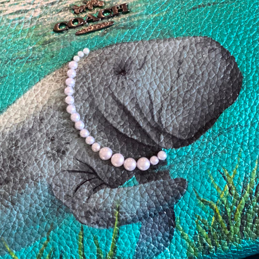 Sea Cow, Chic Cow