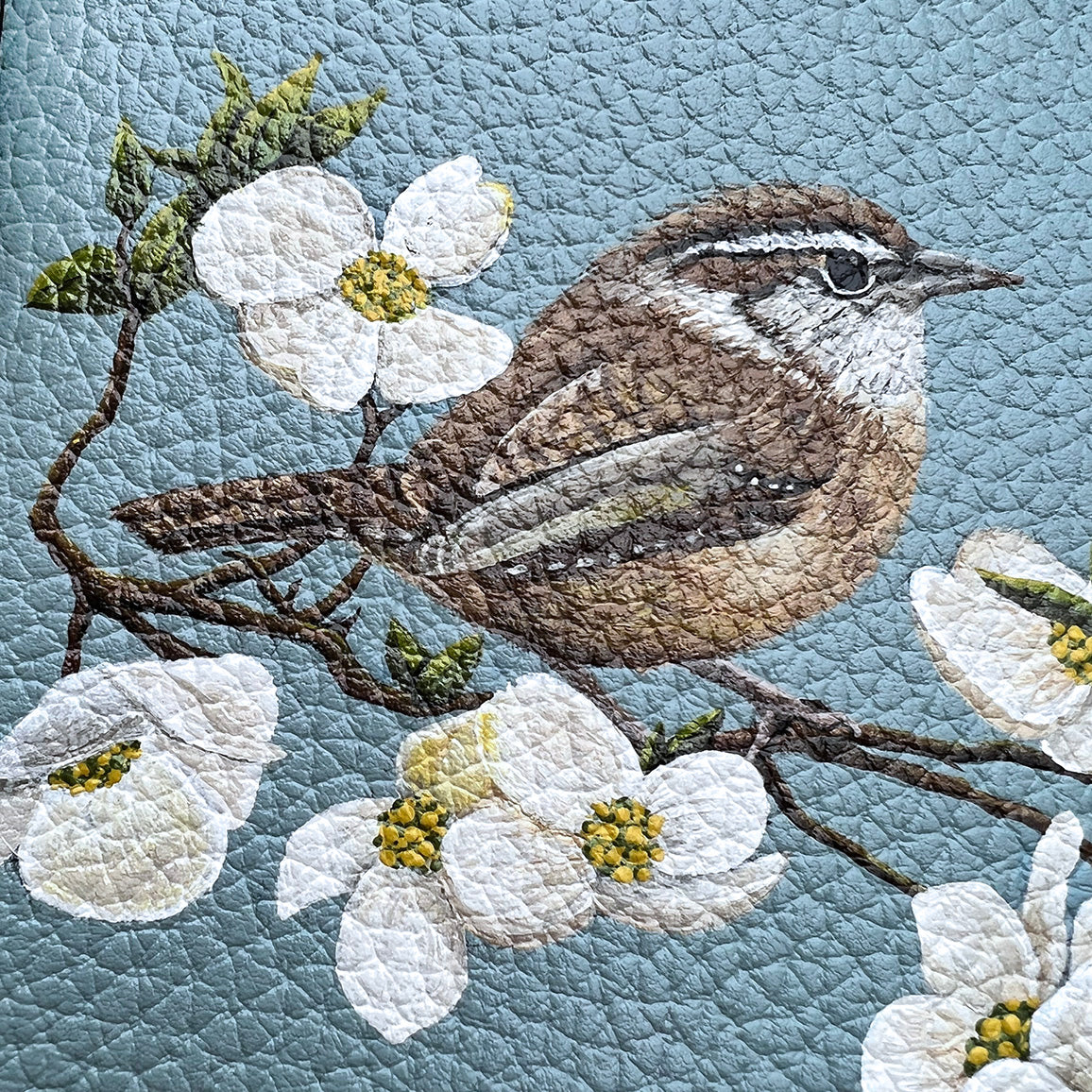Sweet Carolina Wren