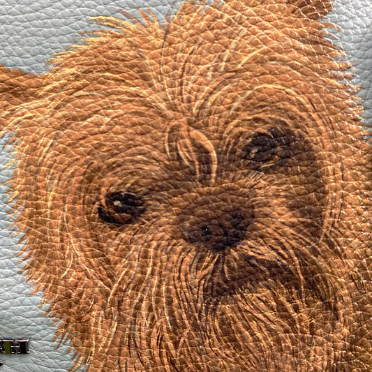 Gertie the Griffon