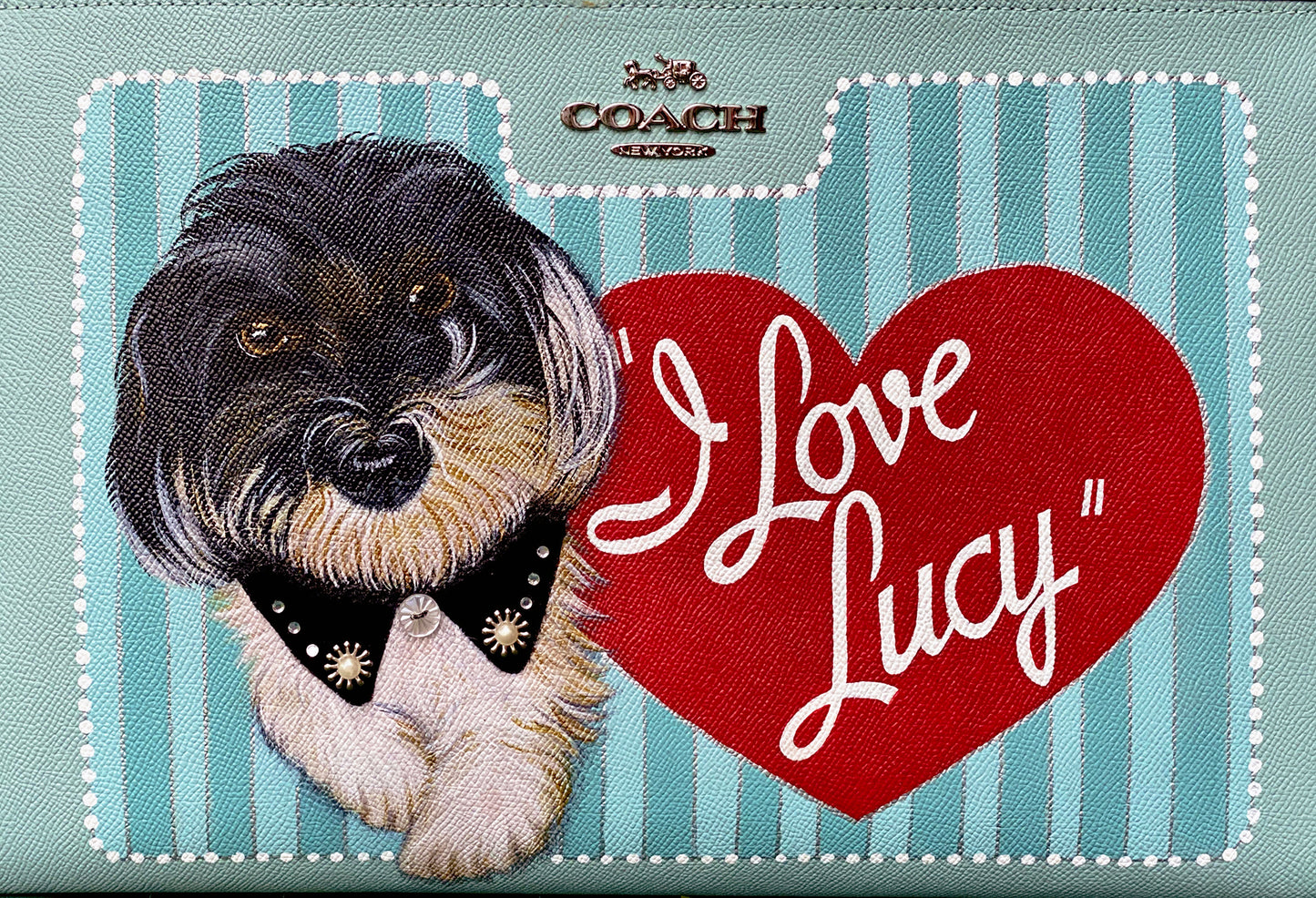 We All Love Lucy