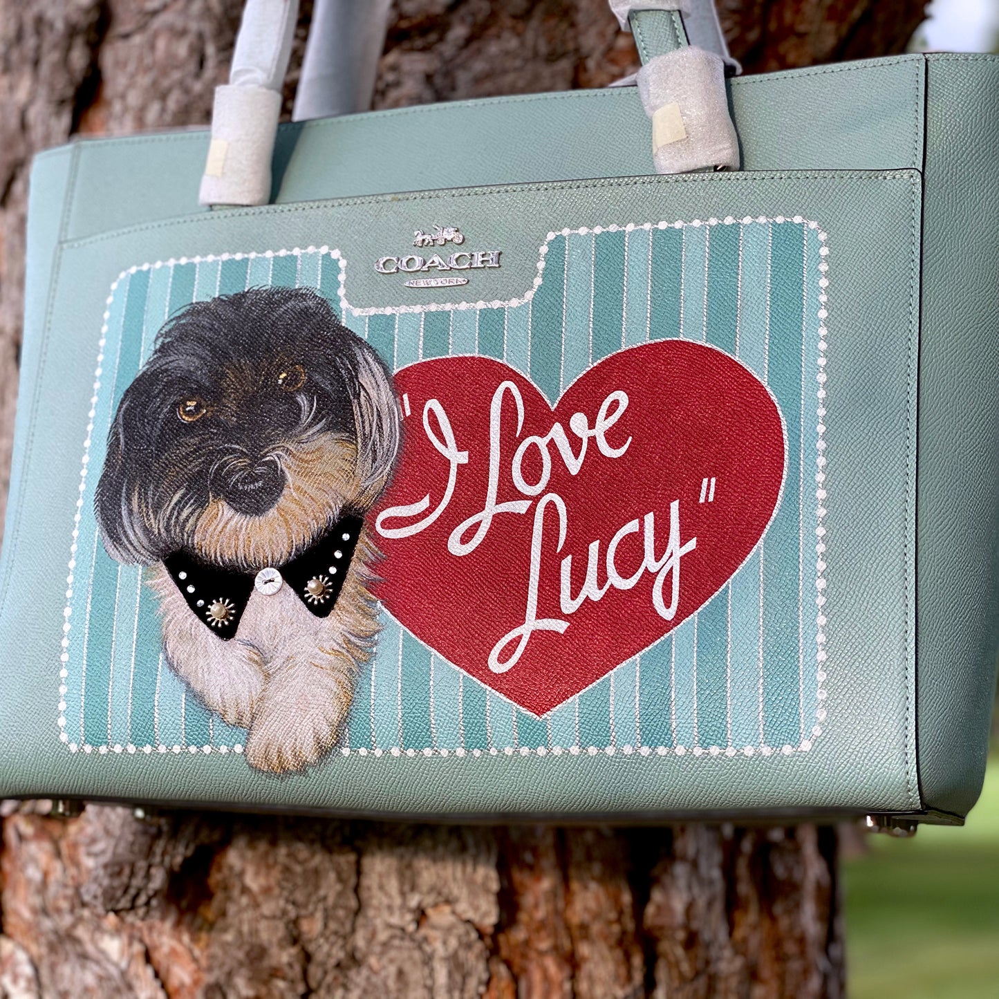 We All Love Lucy