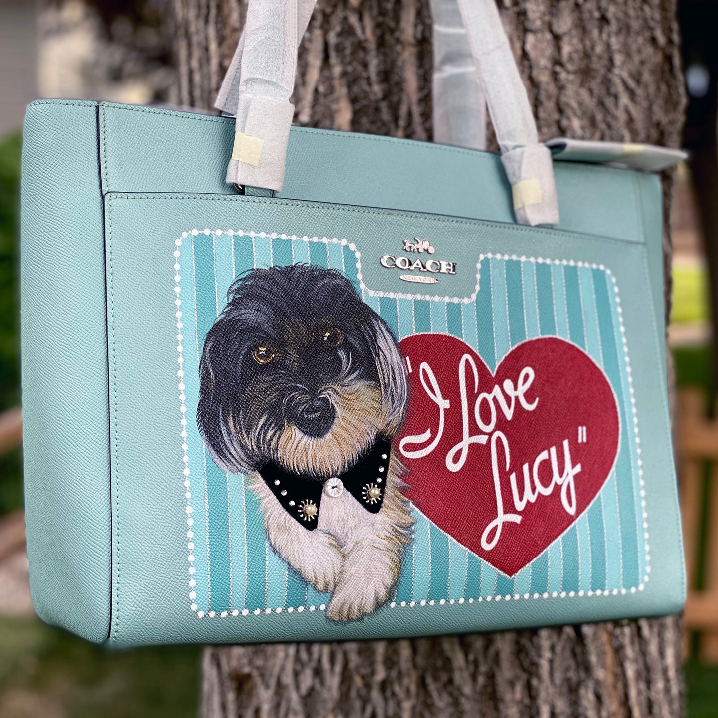 We All Love Lucy