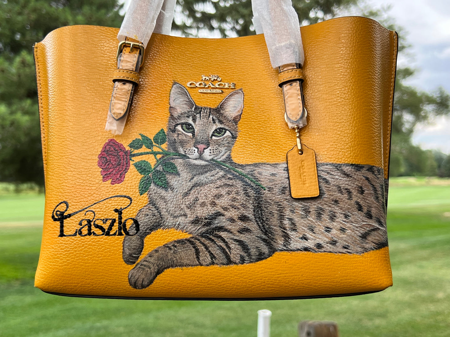 Sexy Laszlo