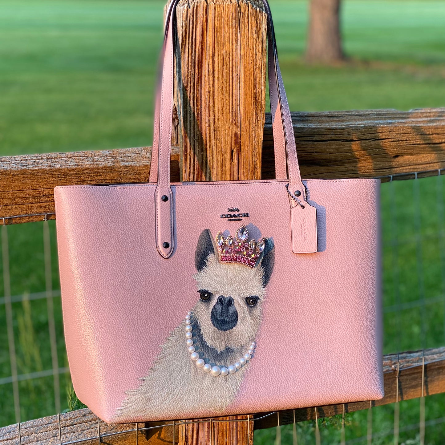 No Drama? Wrong Llama.