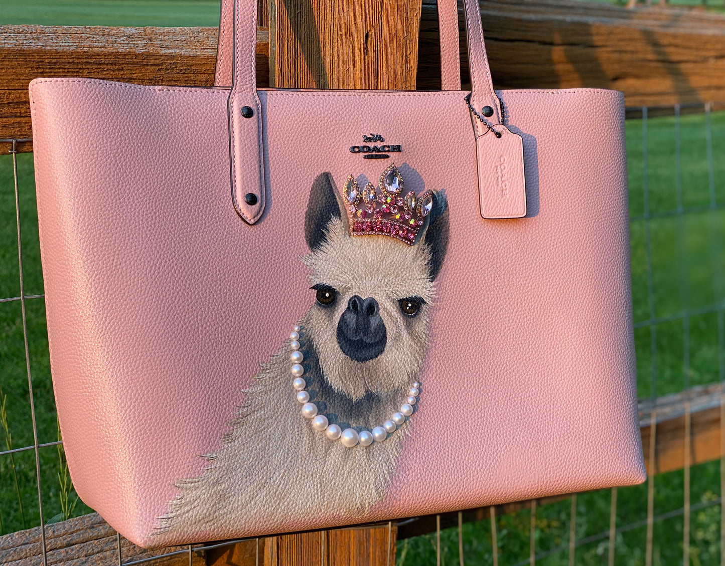 No Drama? Wrong Llama.