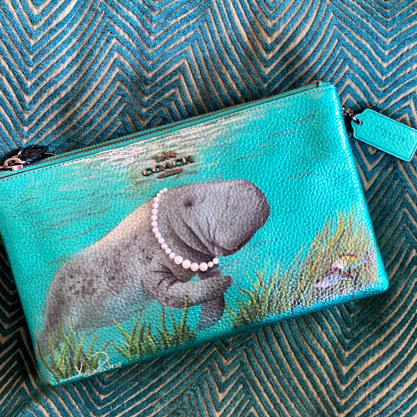 Sea Cow, Chic Cow