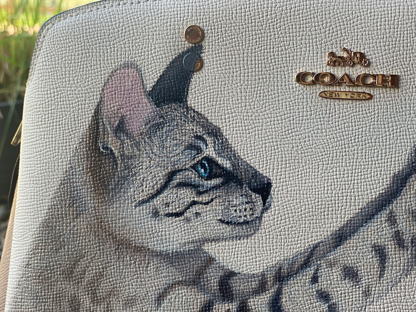 Wild Savannah Cat Hunter