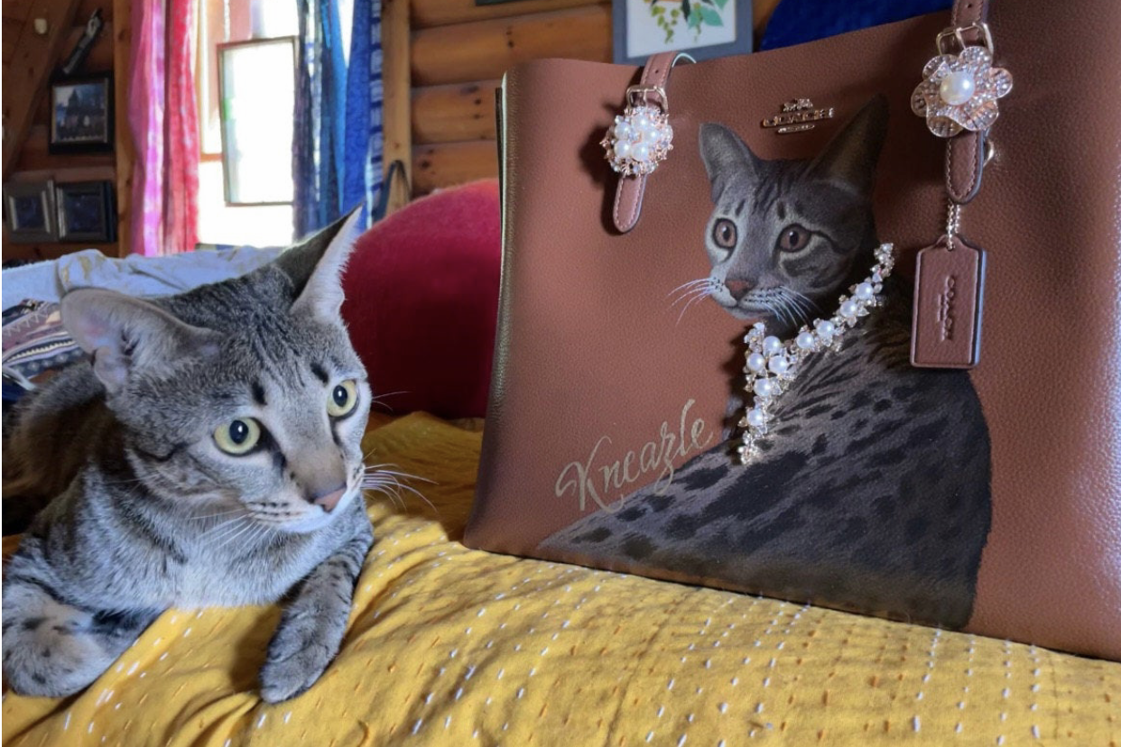 Savannah Cat Royale